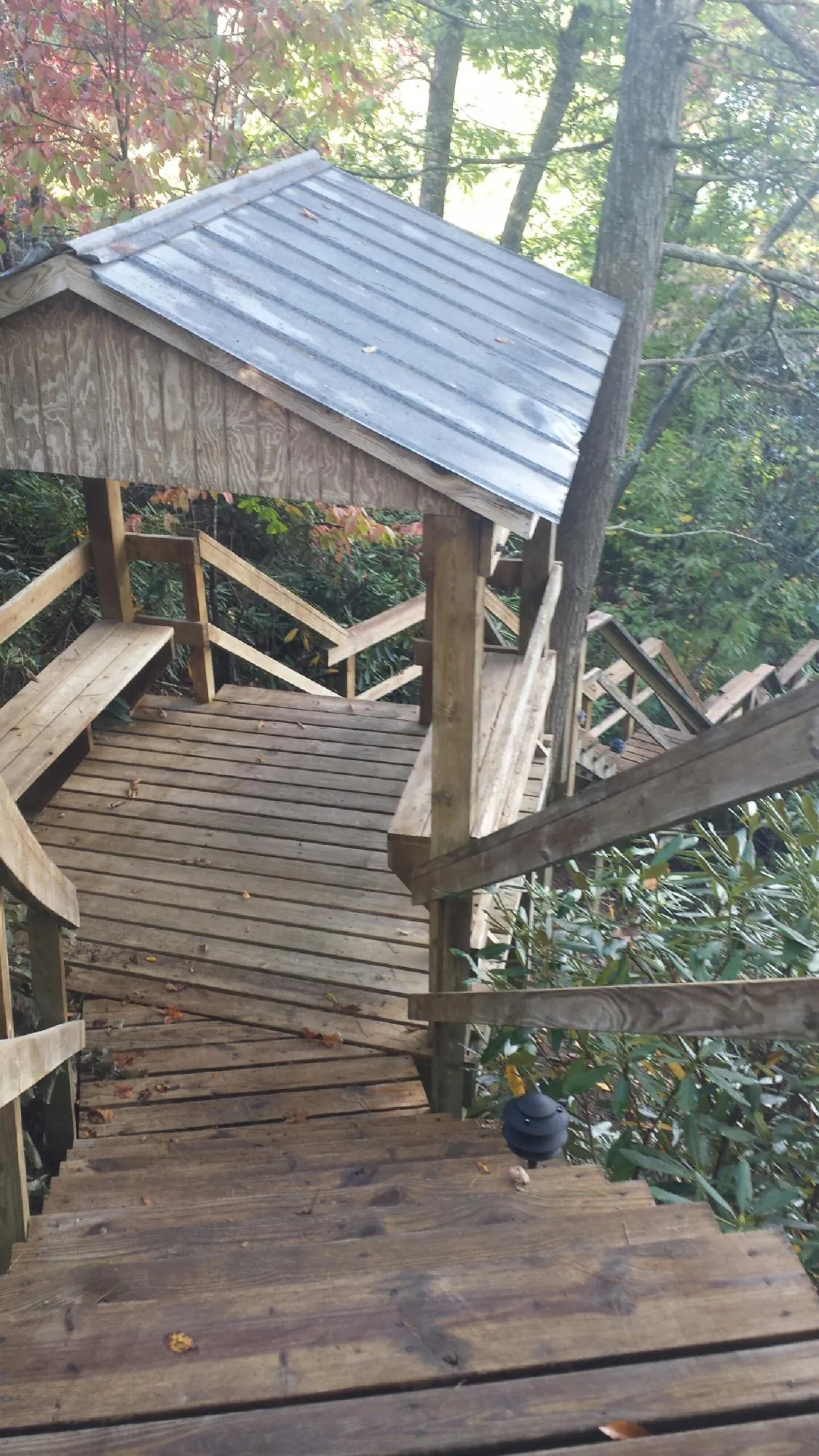 Metal roofed shelter over wooden steps on a wooded walkway — Skylight Repair & Installation work by our crew in Woodleaf